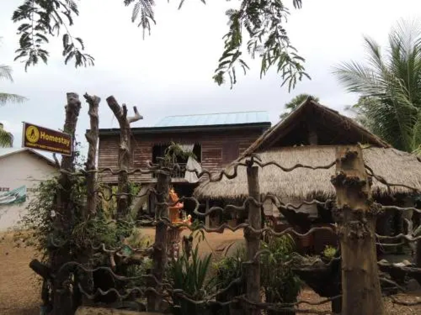 Yang Savy Homestay