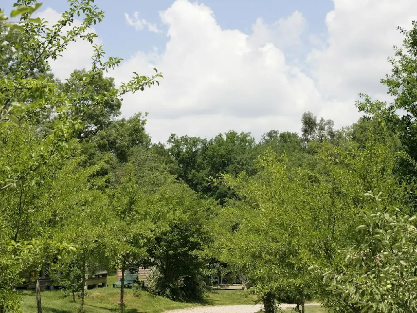 Comfortable Chalet Located Among Vineyards in the Dordogne