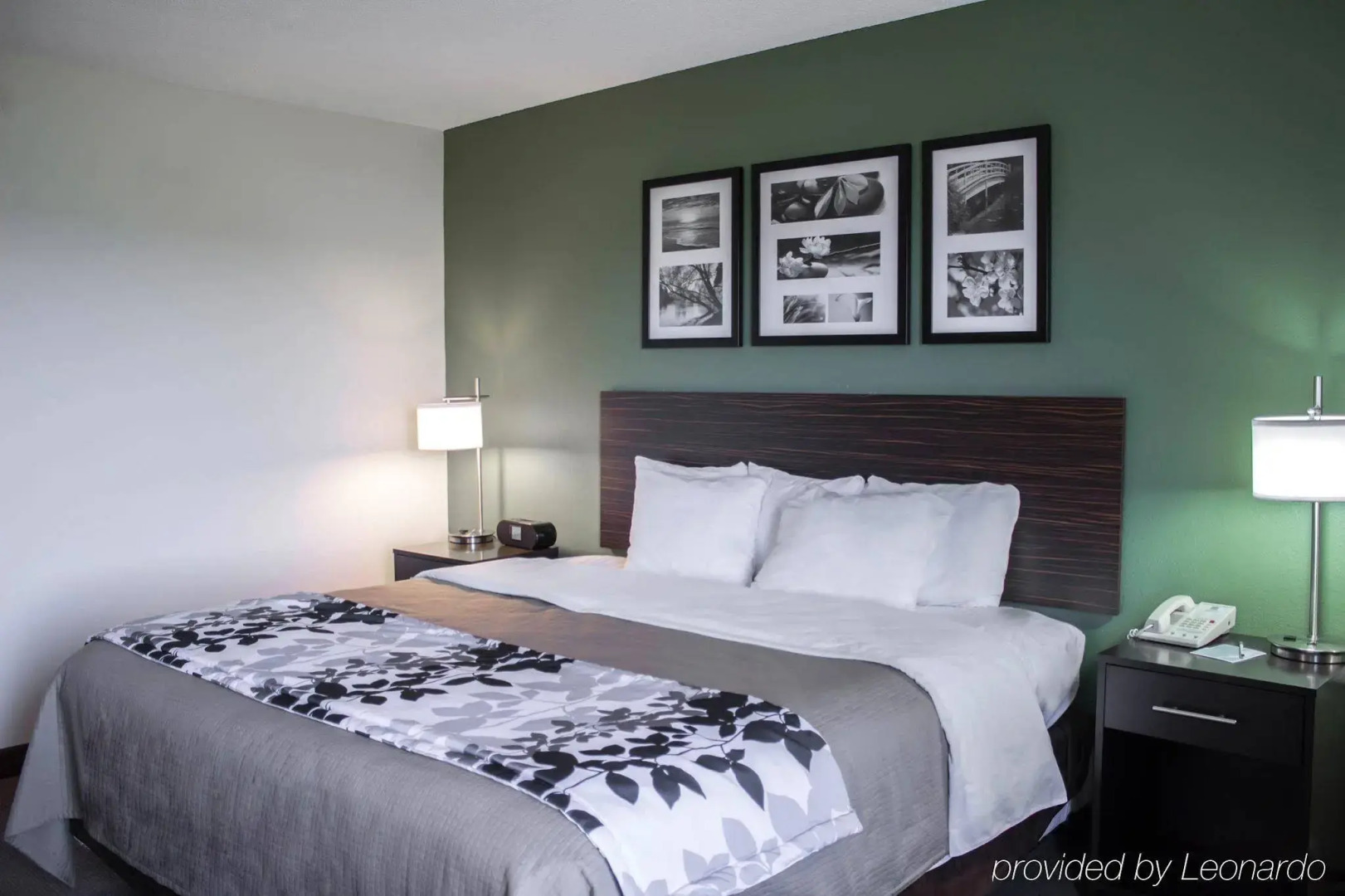 Sleep Inn & Suites Smithfield near I-95