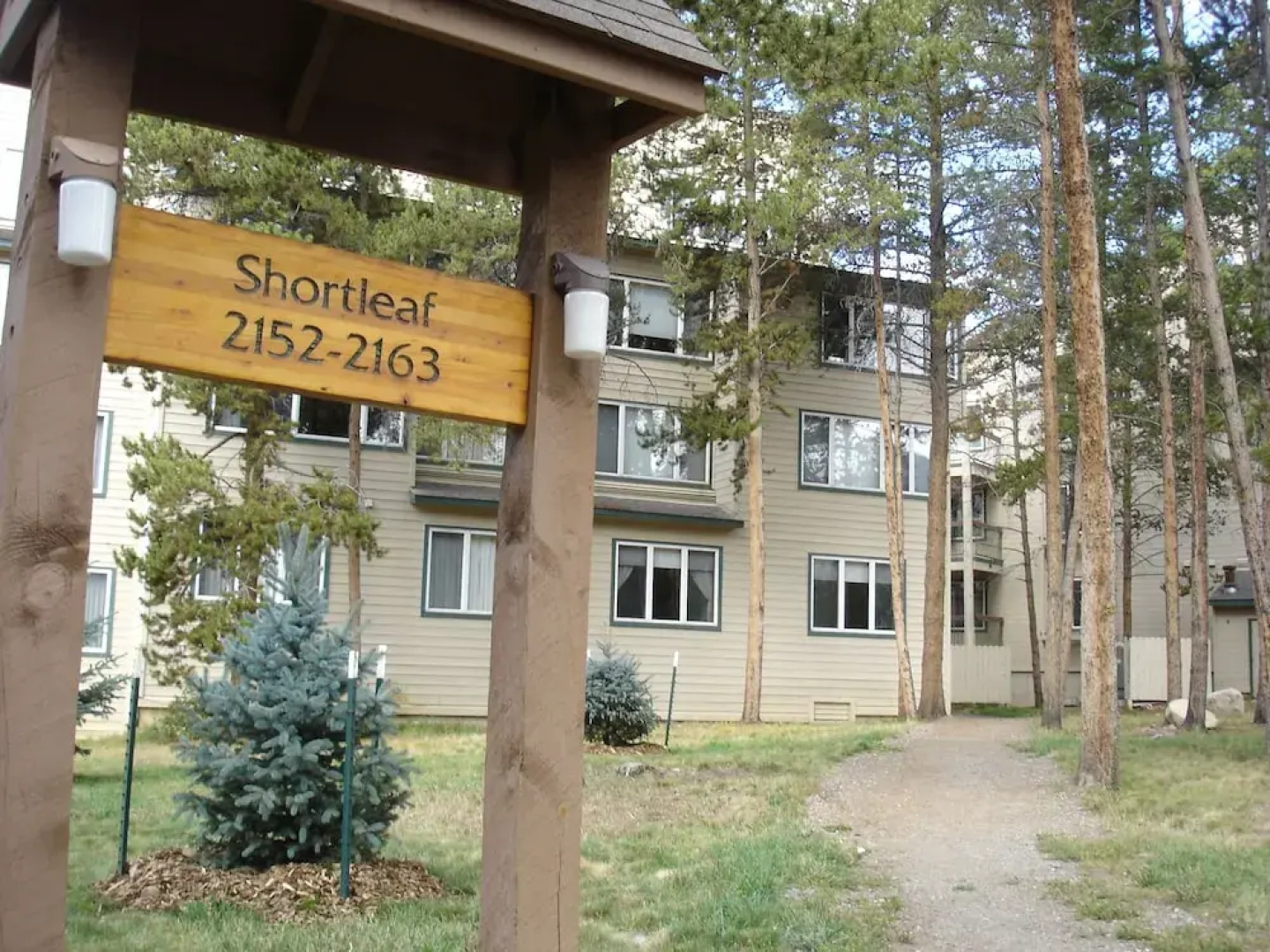 Pines 2133
