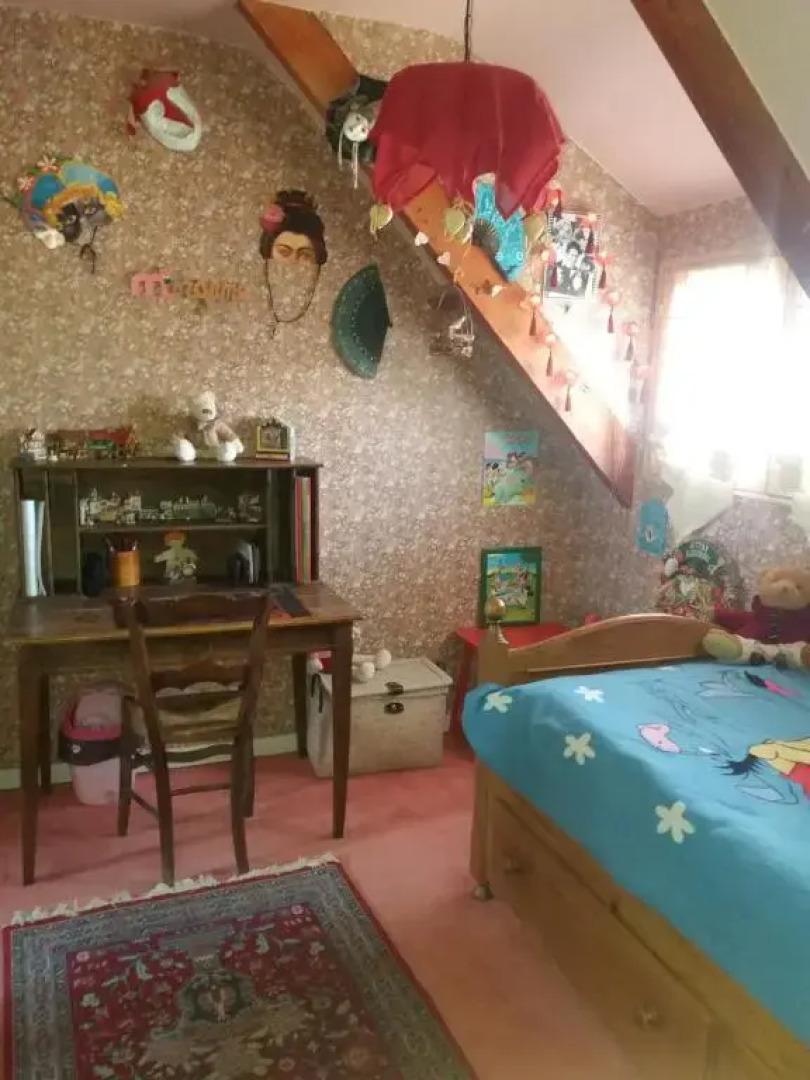 Les Mouettes 1 gite et 4 chambres d hote, jardin ,bords de Loire