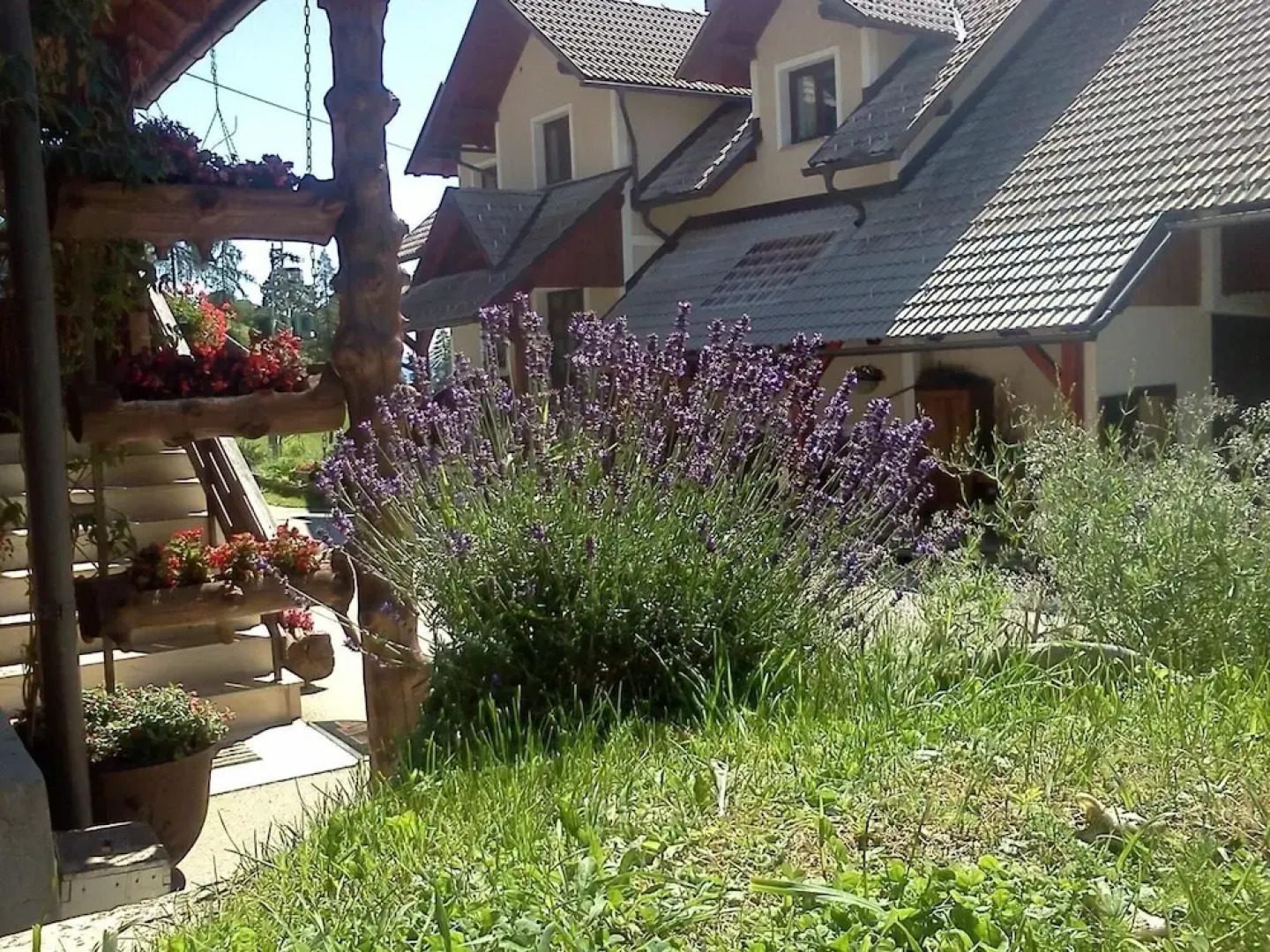 Pr' Dovar Guest House