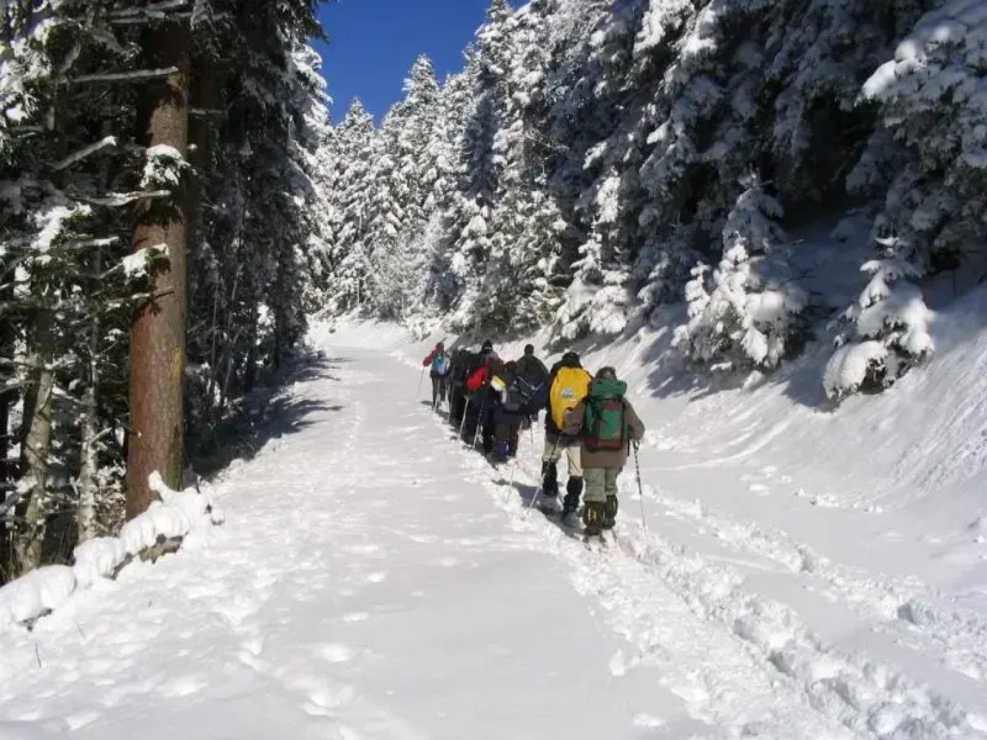 Residence Nemea La Soulane