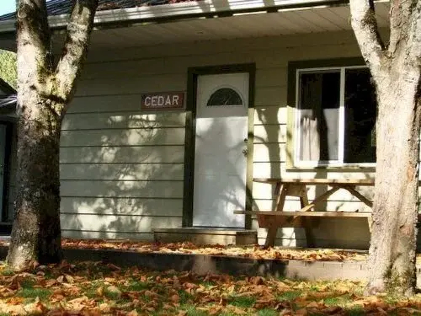 Cabins and Campground at Cultus Lake Park