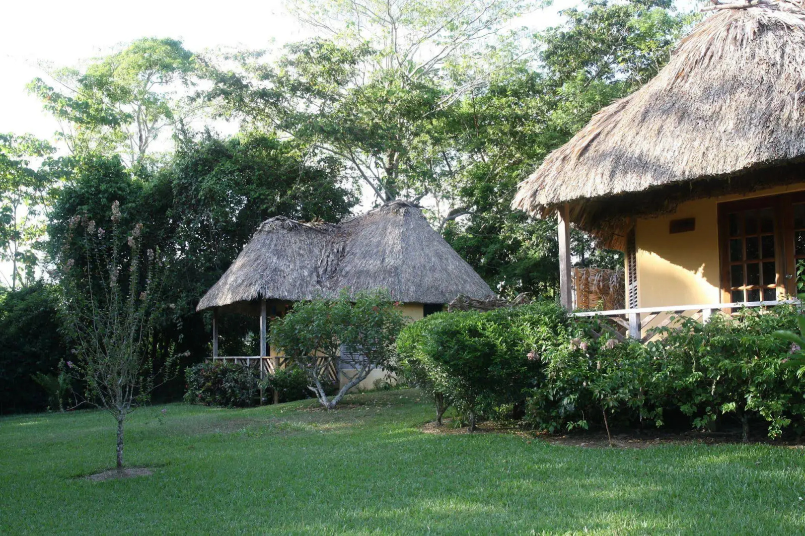 Tanager Rainforest Lodge