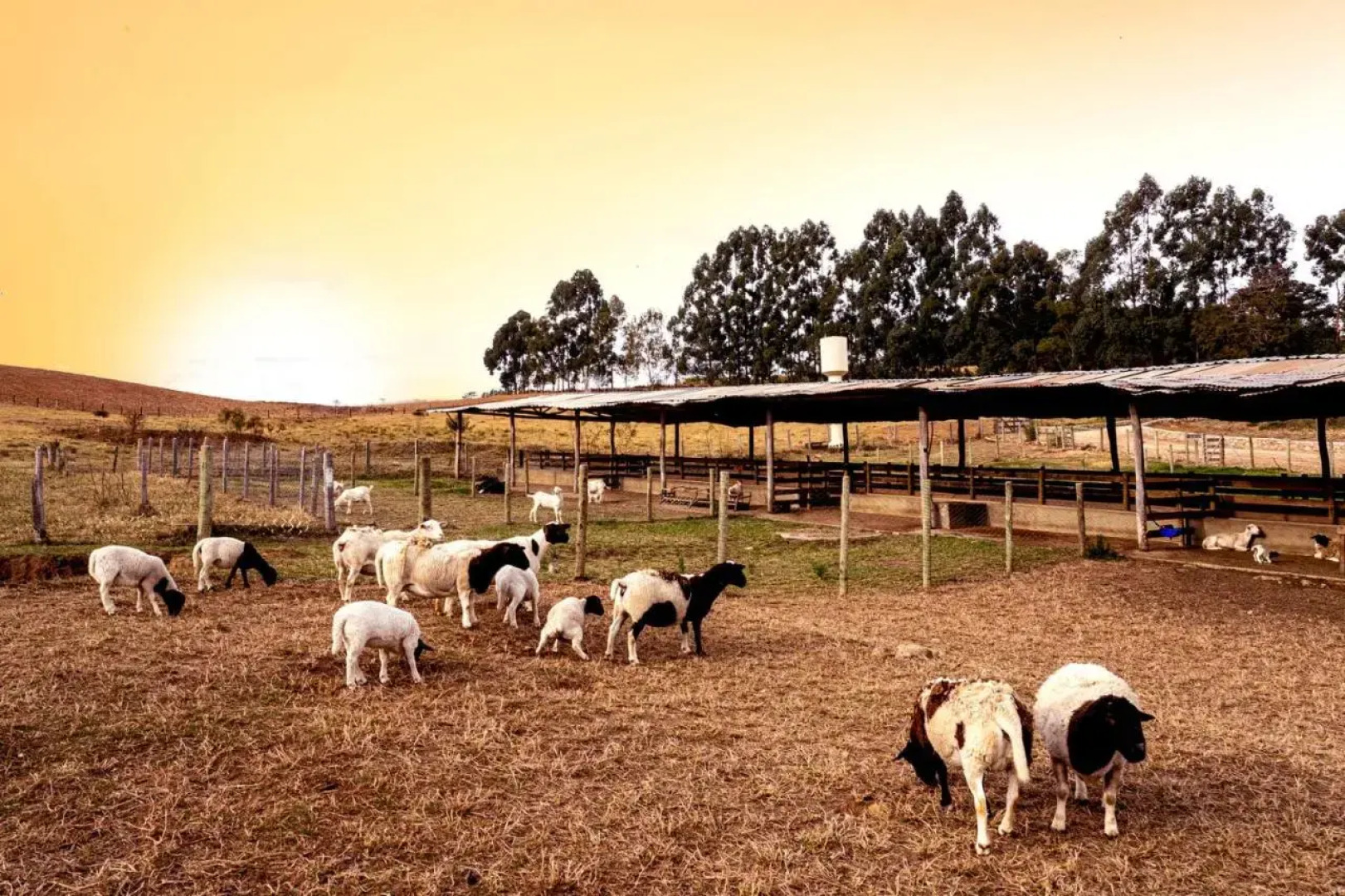 Hotel Fazenda Colina dos Sonhos