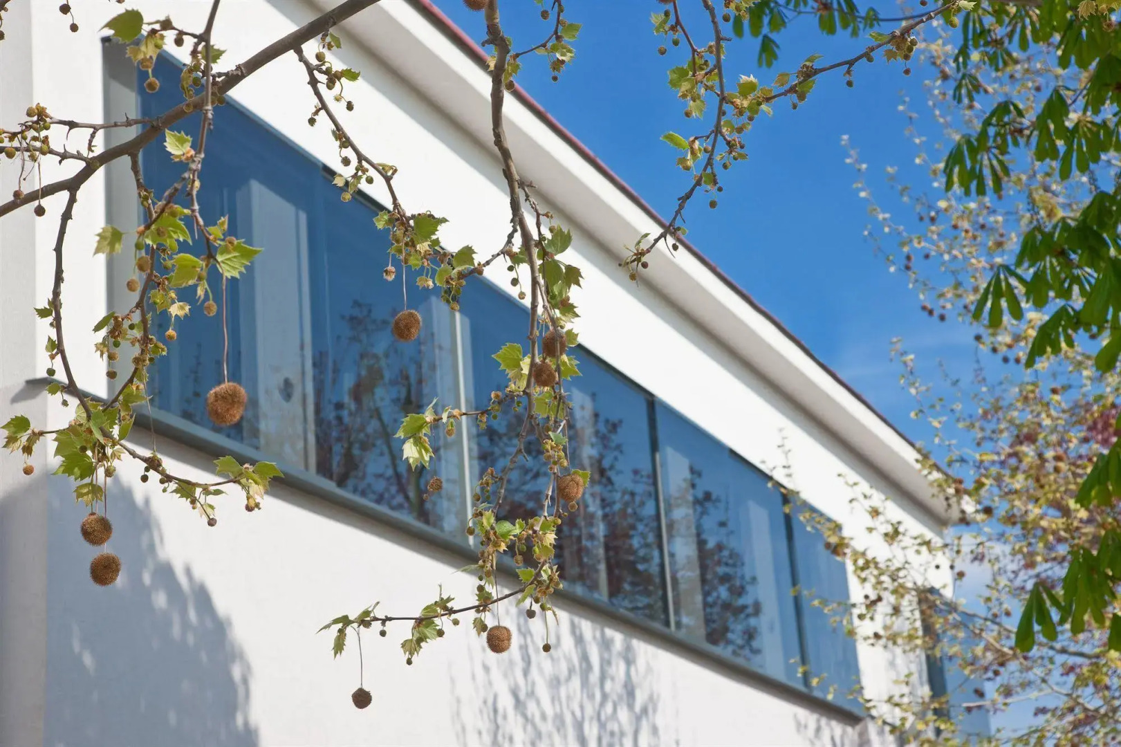 Strandhotel Alte Donau