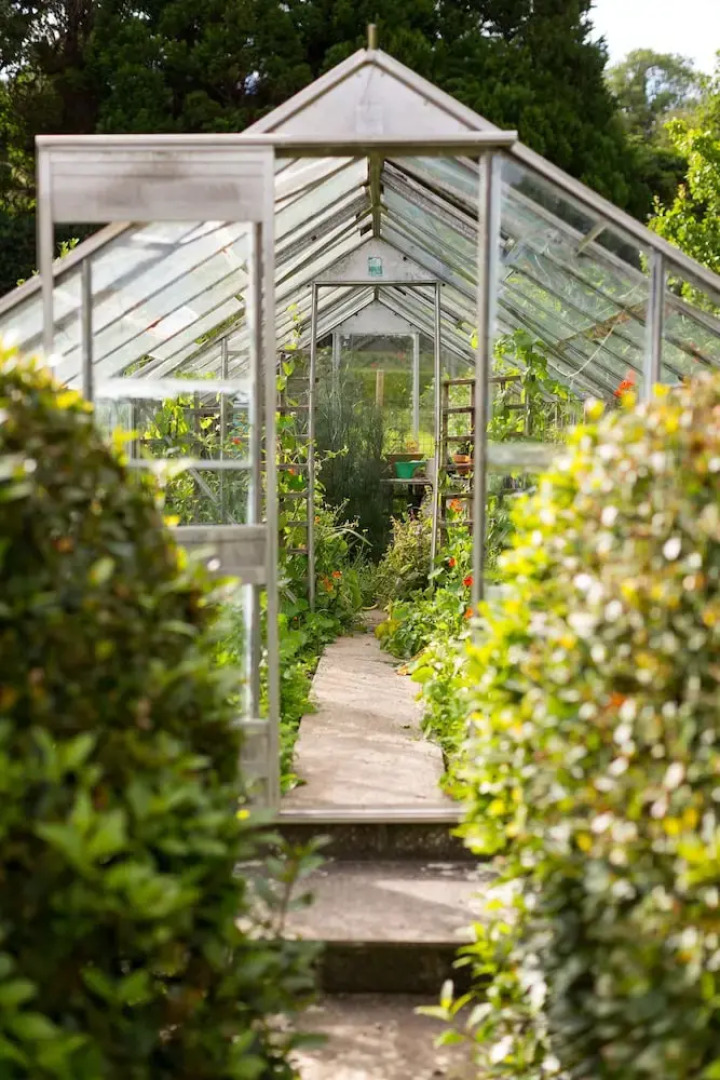 The Mustard Seed at Echo Lodge