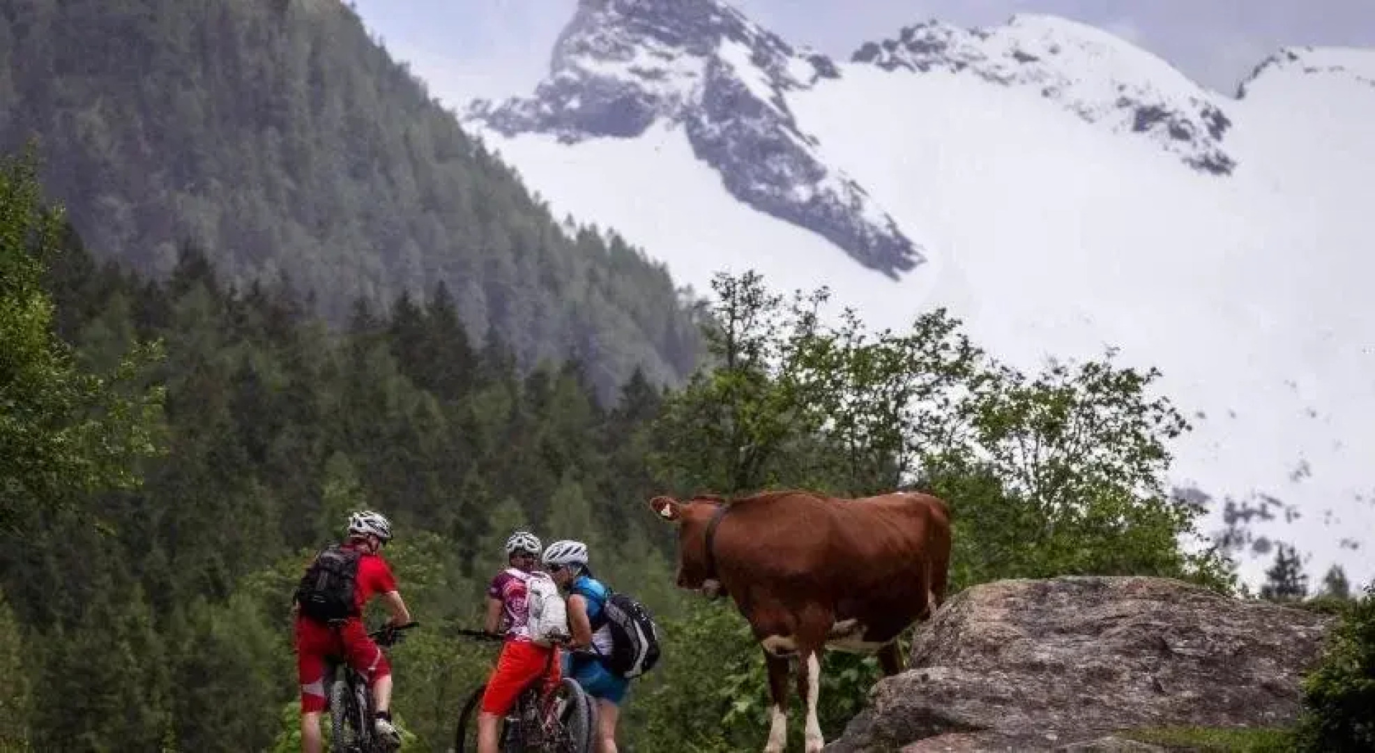 Smaragdhotel Tauernblick