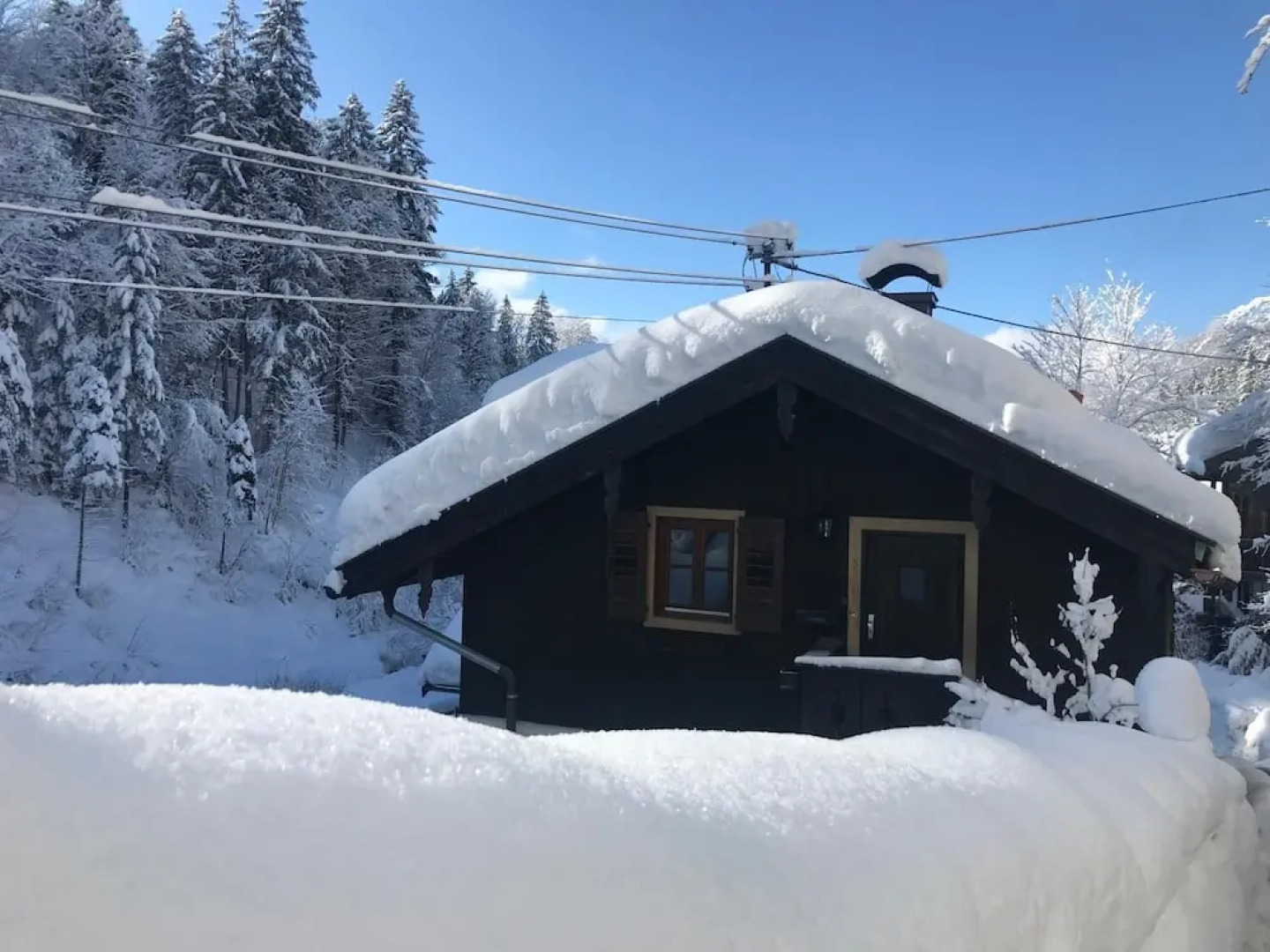 Wildromantisches Appartement am Bachlauf
