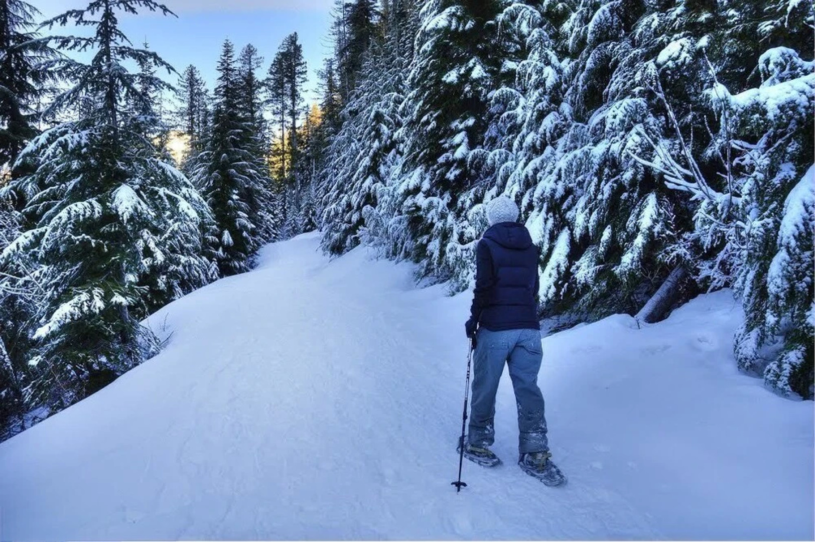 Timber View Lodge - Three Bedroom Home with Hot Tub