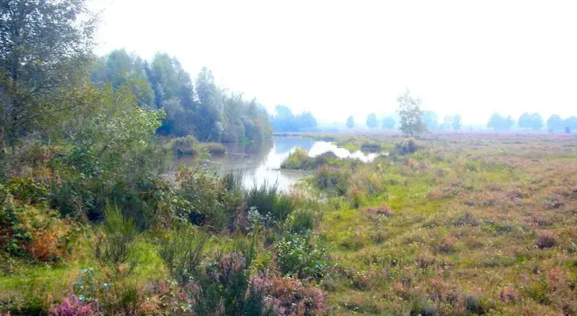 B&B t Woudsebos
