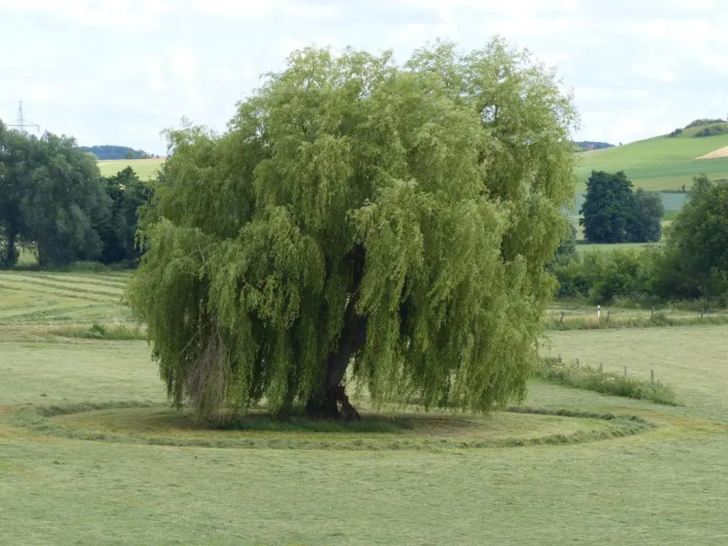 Komfort Ferienwohnung II Wolfhagen