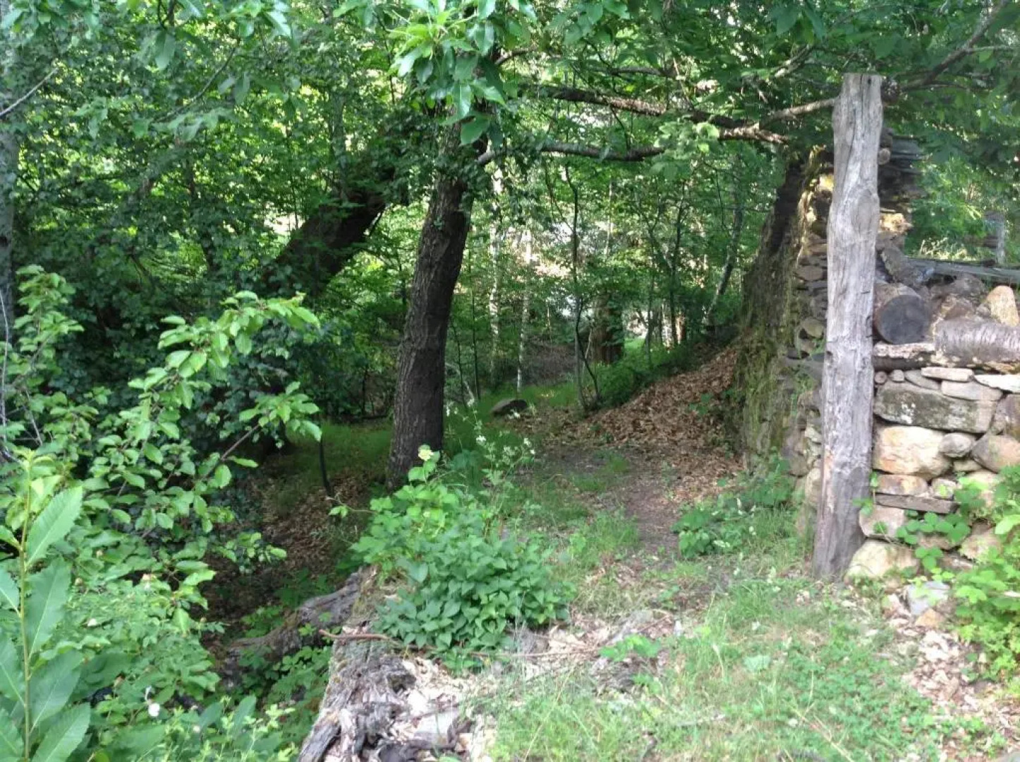 El Mirador de los Trobos