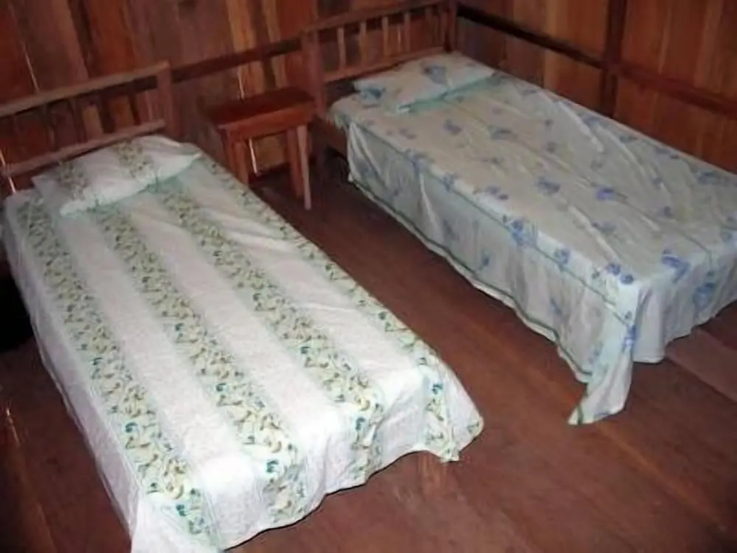 Jungle Wolf Expeditions