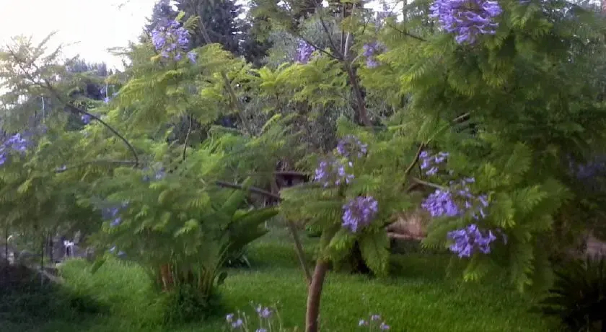 Bed and Breakfast da Stella