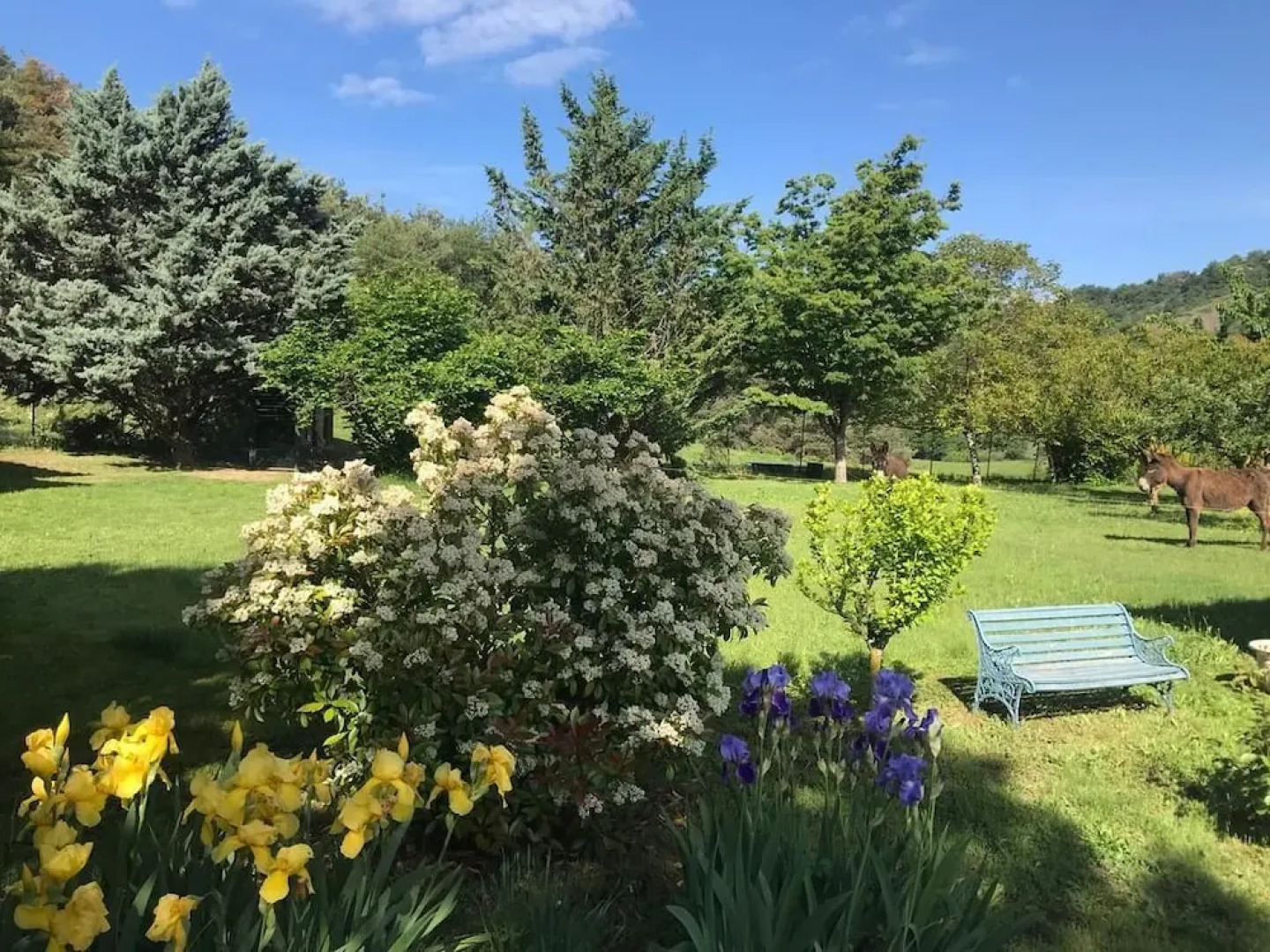 Chambre d'hôtes La Citadelle