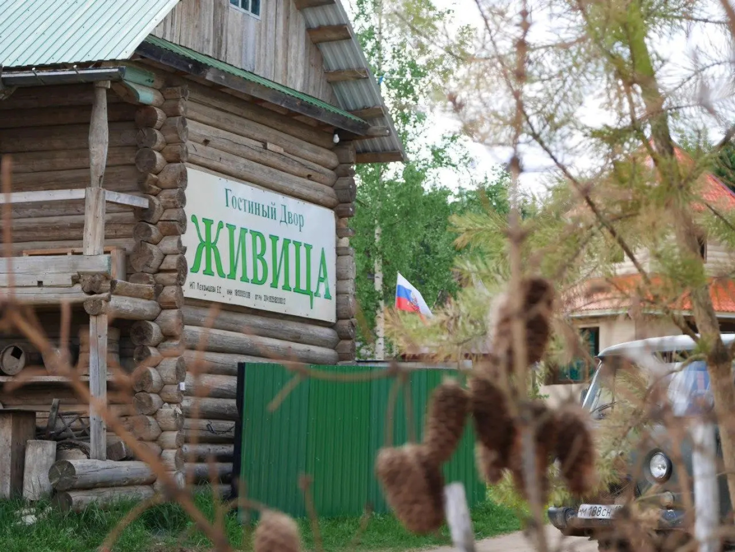 Живица