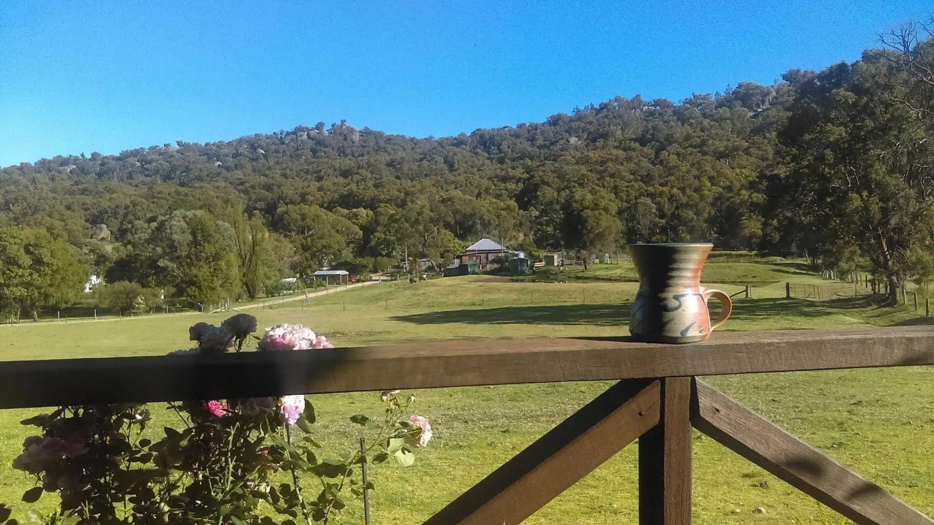 Wisteria Cottage and Cabins