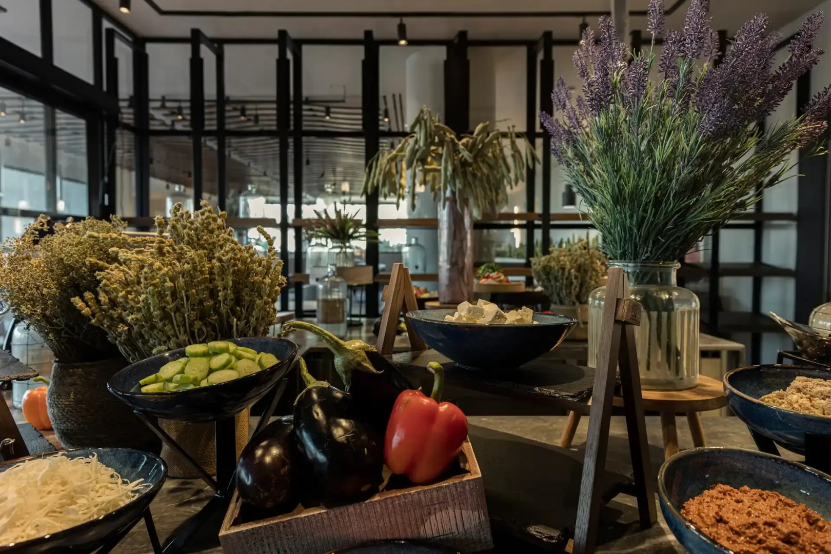 King Jason Zante – Adults Only