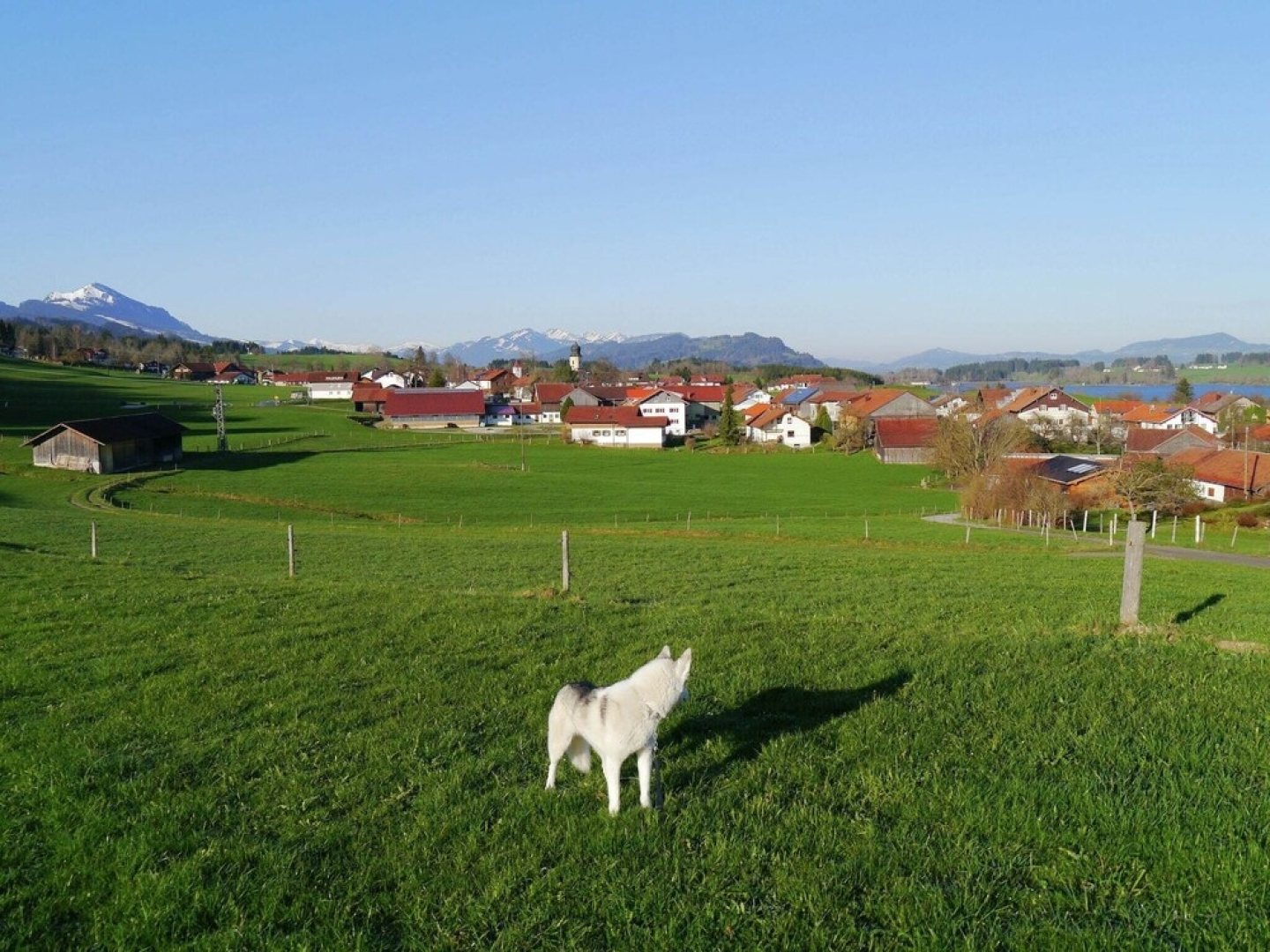 Cosy Apartment in Allgau With Garden