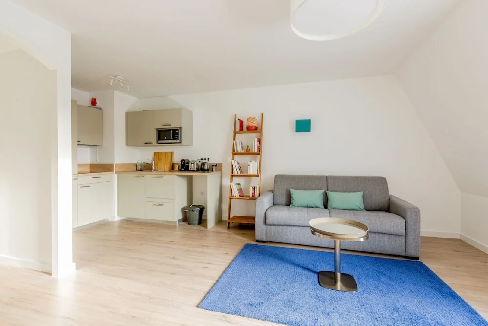 Beautiful Residence  Paris & Versailles