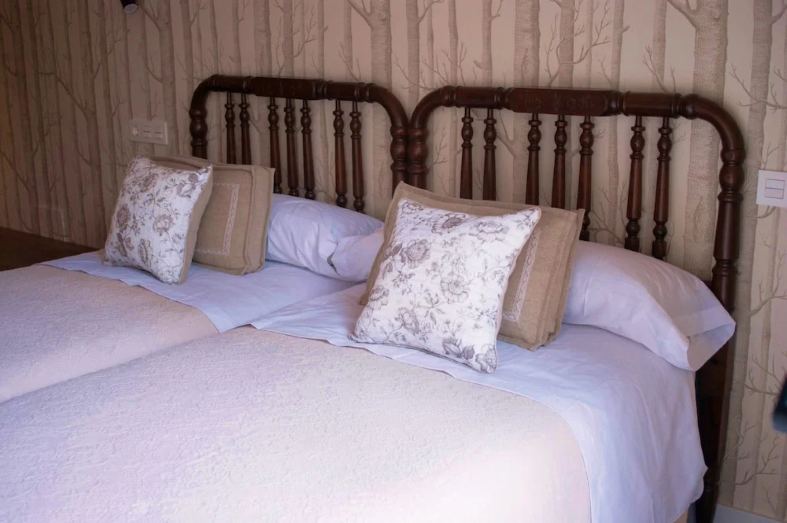 Bonalife - Senda del Oso