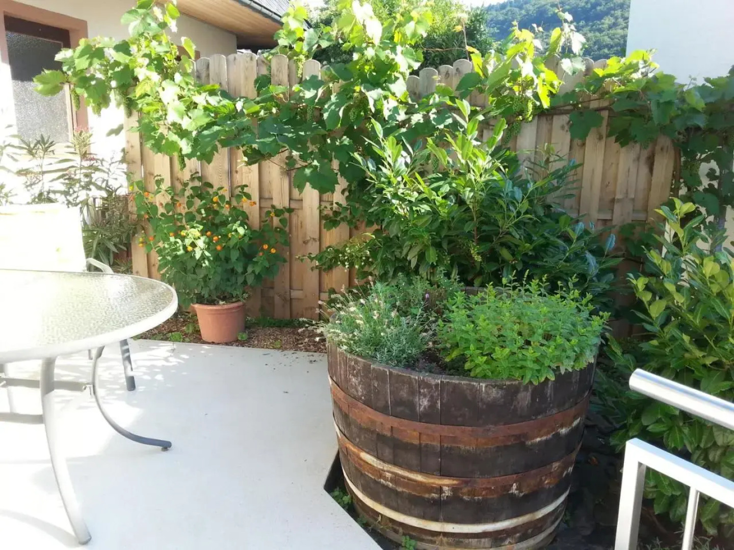 Ferienwohnung Weingut KDM