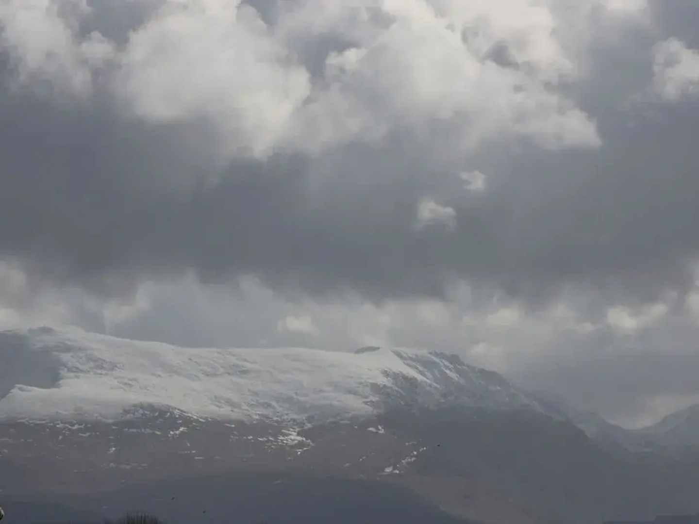 Gwenallt