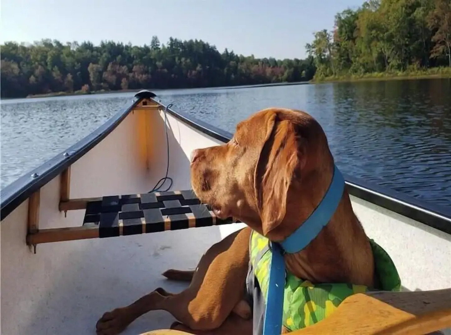Muskoka Lake Cottages