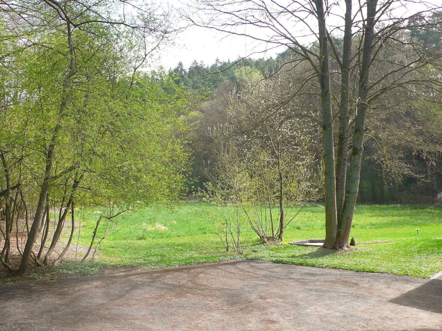 Kyrbach Dillendorf in Dillendorf