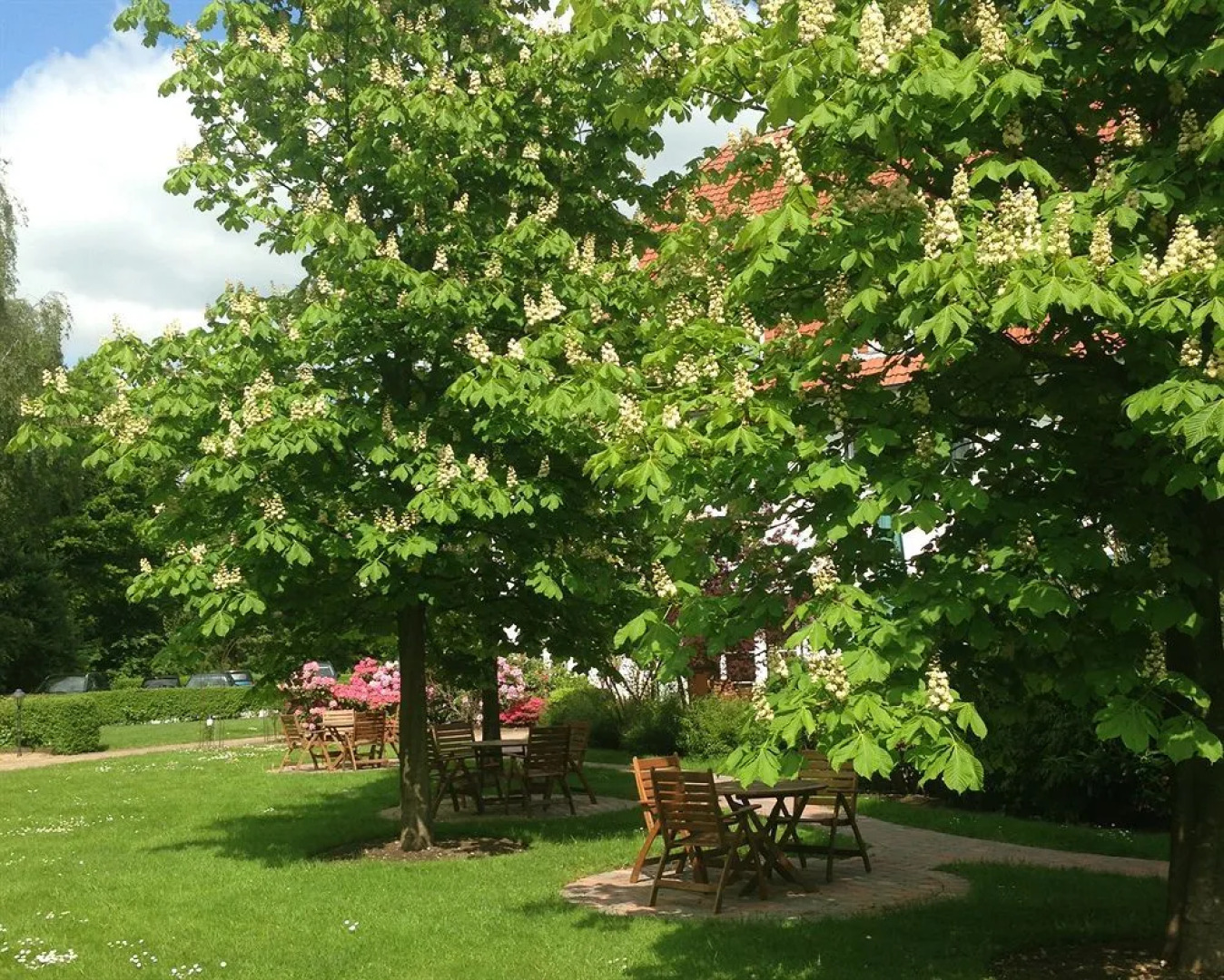 Dreiklang Business & Spa Resort