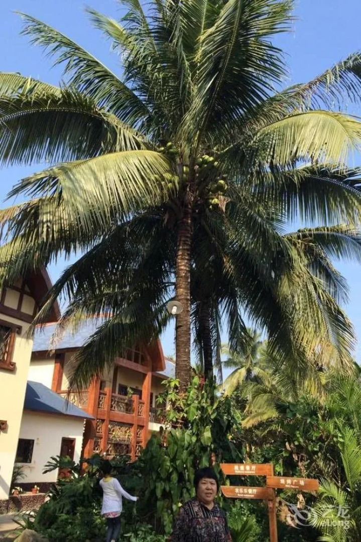 Hainan Bulongsai Resort Hotel