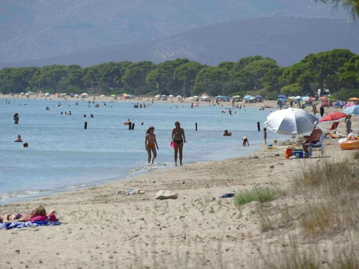 Home With Small Pool Near Athens, Easily Accessible by Public Transport