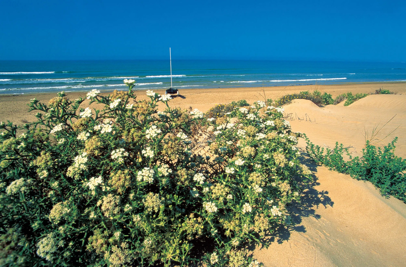 Hotel Club Marispica