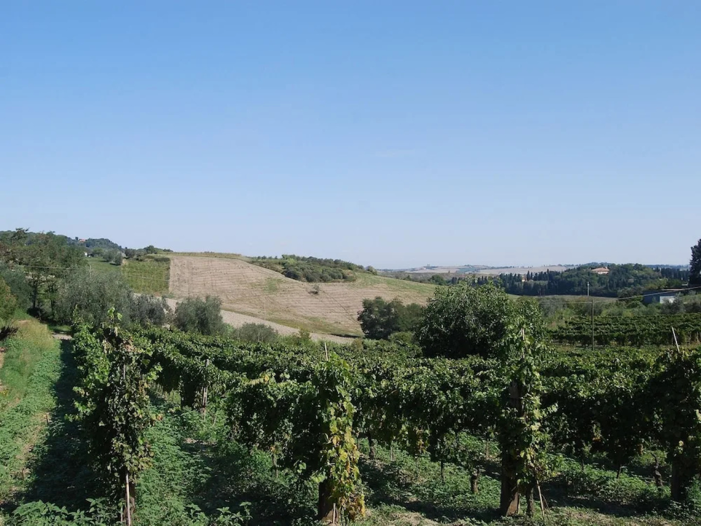 Modern Holiday Home in Rosignano Marittimo Near Forest