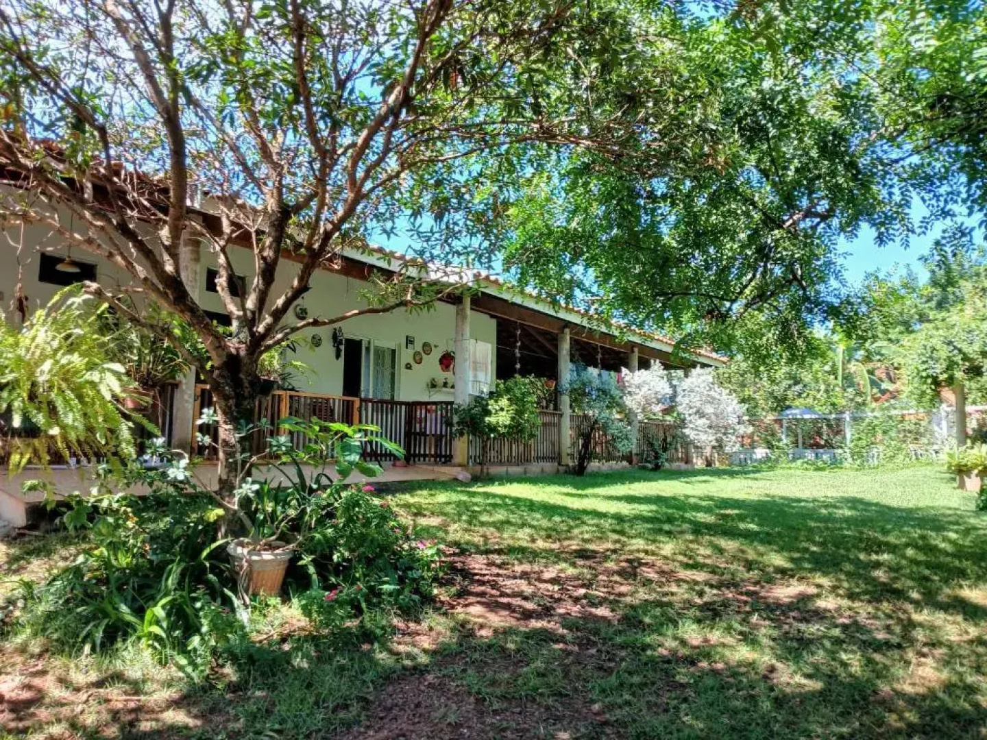 Ana Terra Barretos Casa de Campo