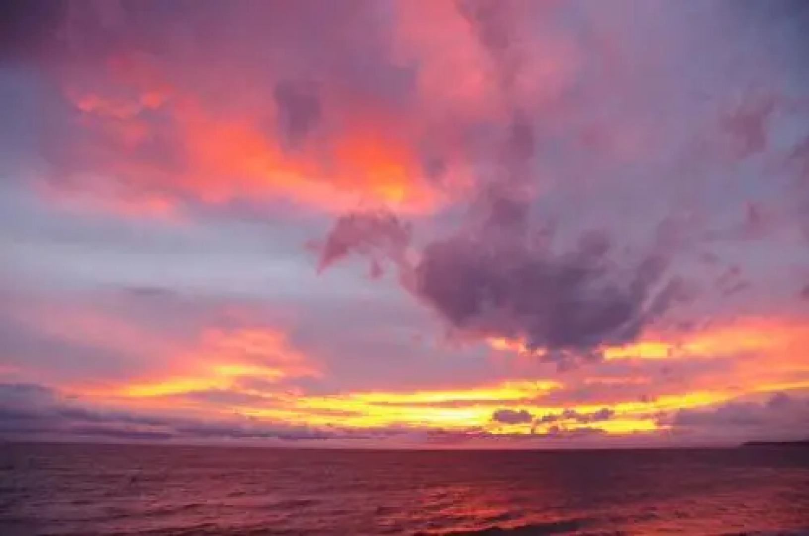 Blitz Beach House Oceanside Suite