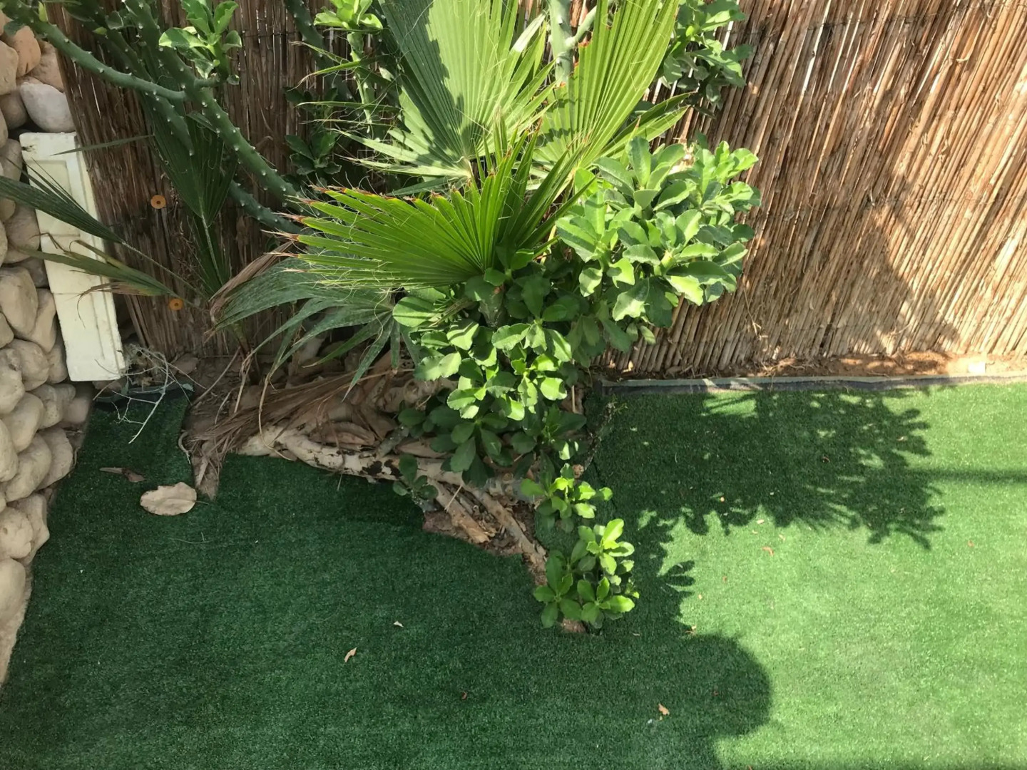 QUEEN of the dead sea by CROWN