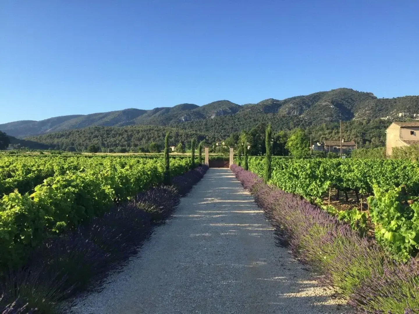 VILLAS DU LUBERON Mas des Gourmandises