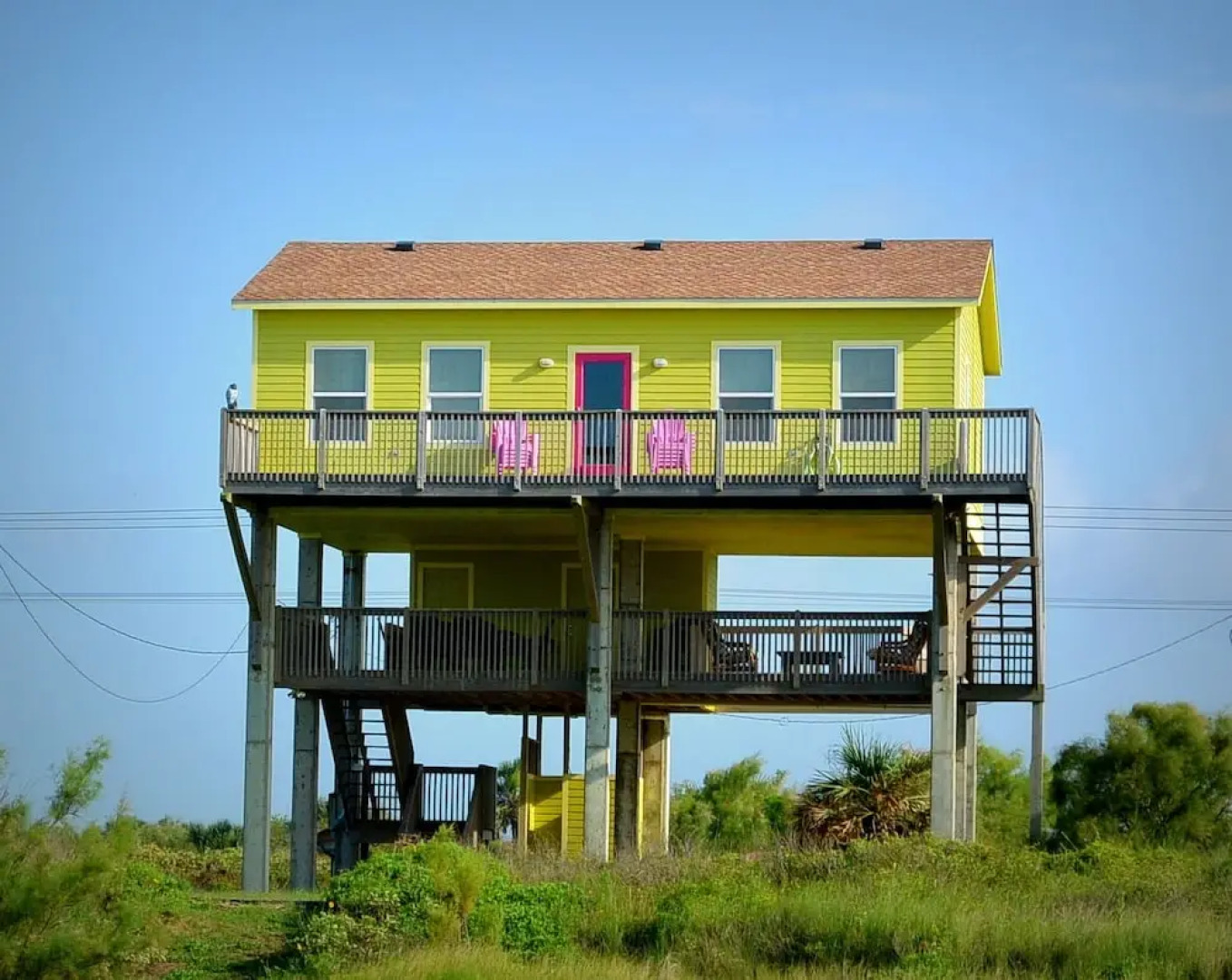 Happy Honu by RedAwning