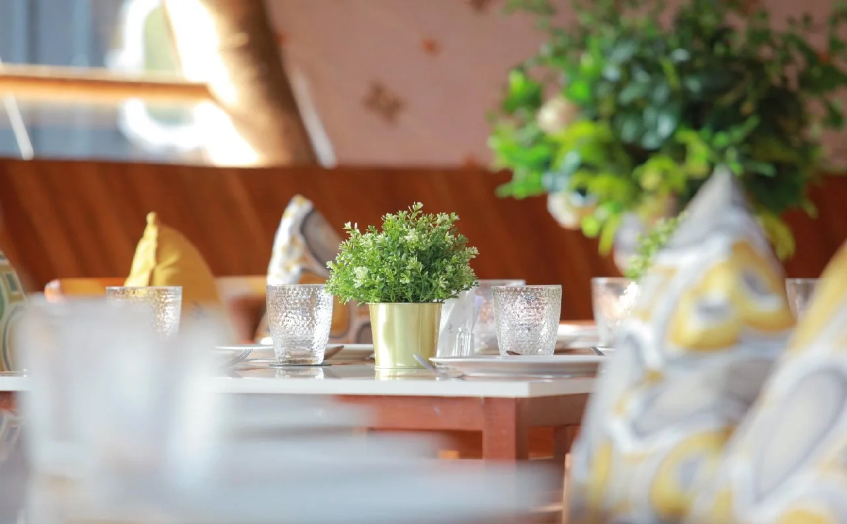 The Buffalo Amphawa (SHA Plus)