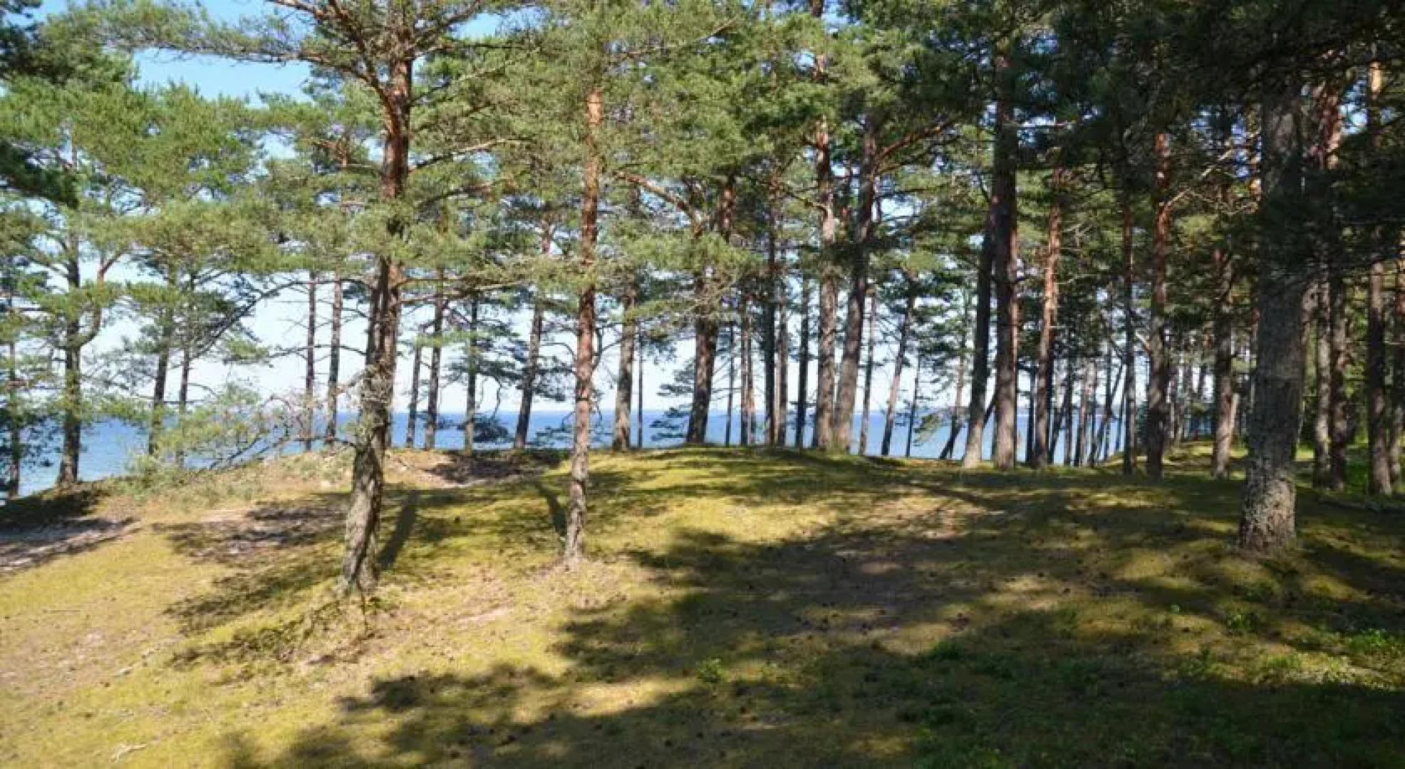 Lohusalu Accommodation