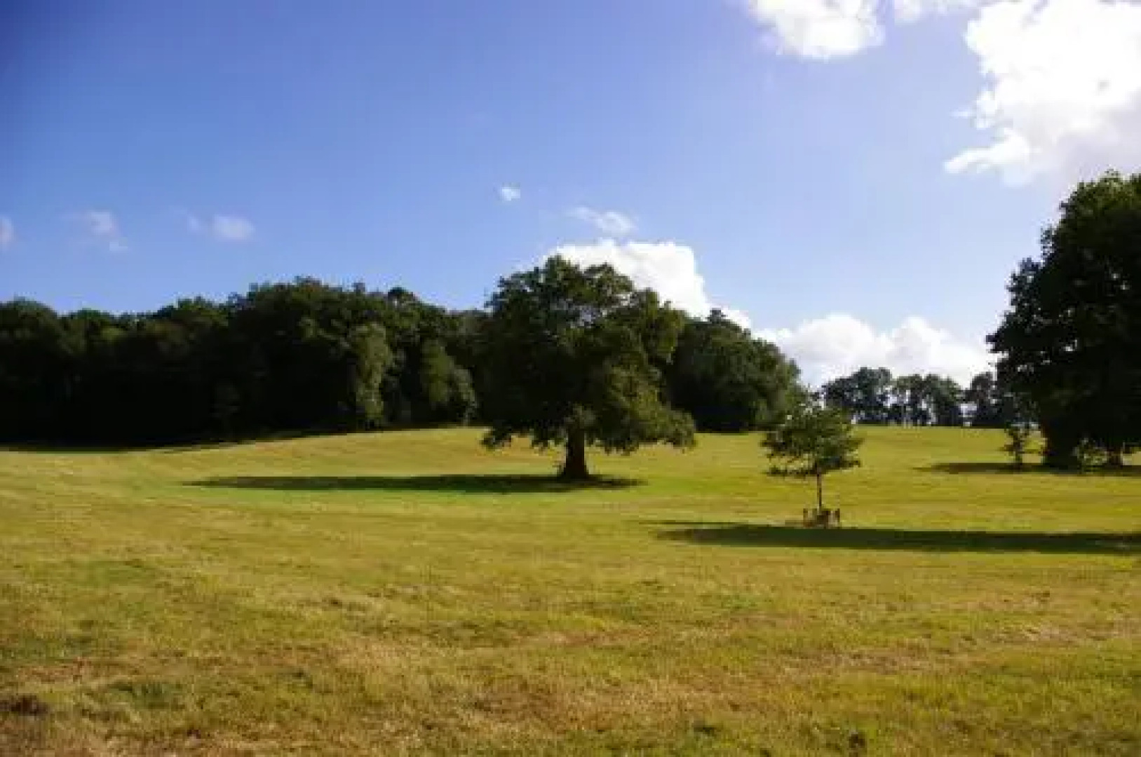 Proche Puy du Fou - Roches Blanches