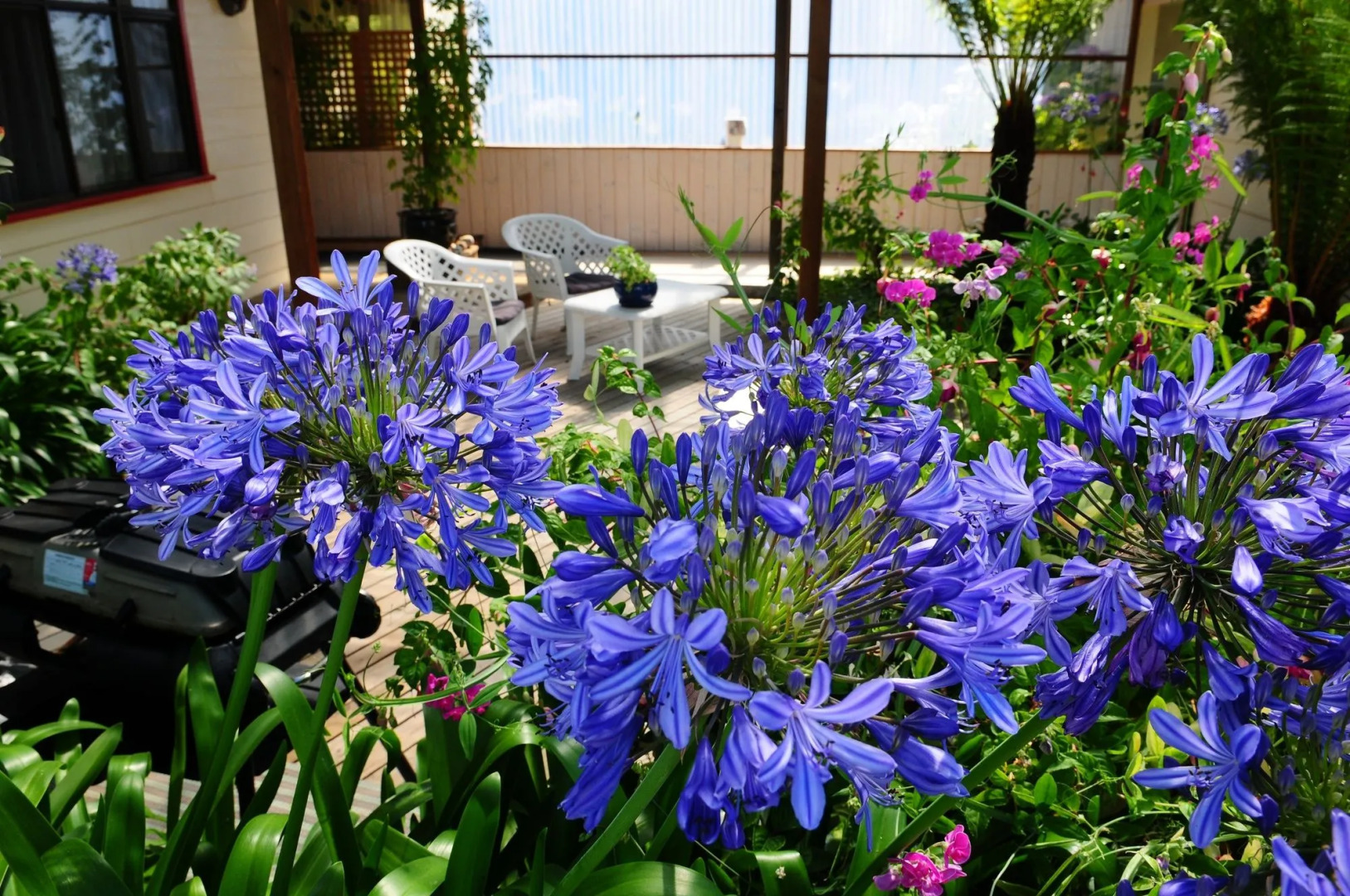 The Crays Accommodation