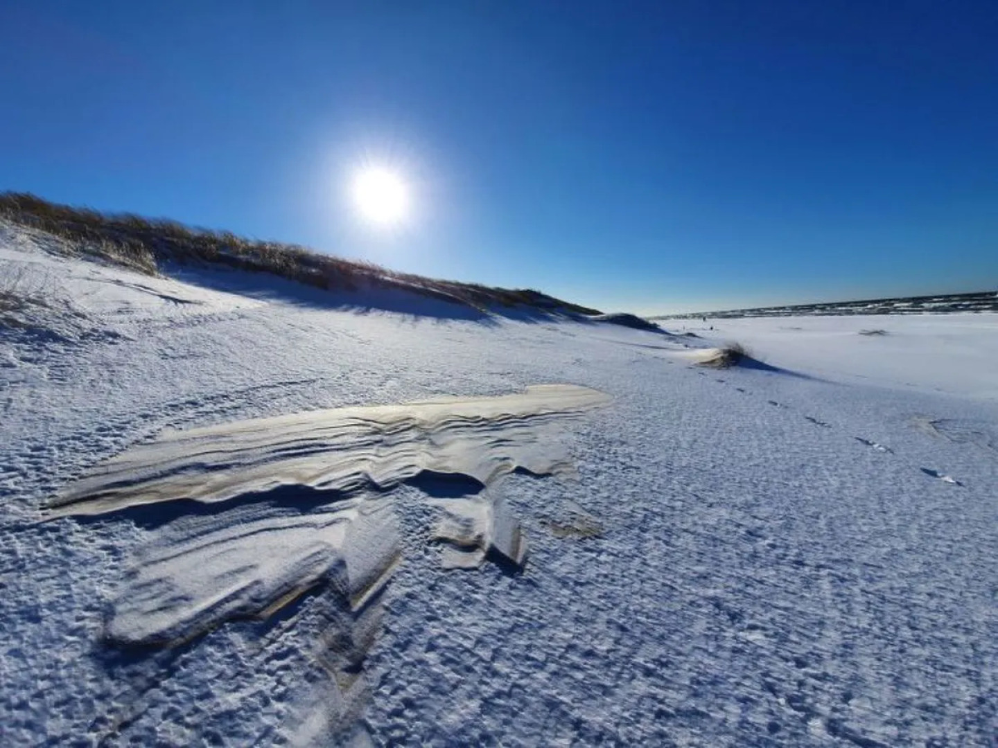 "MODRZEWIOWY ZAKąTEK"