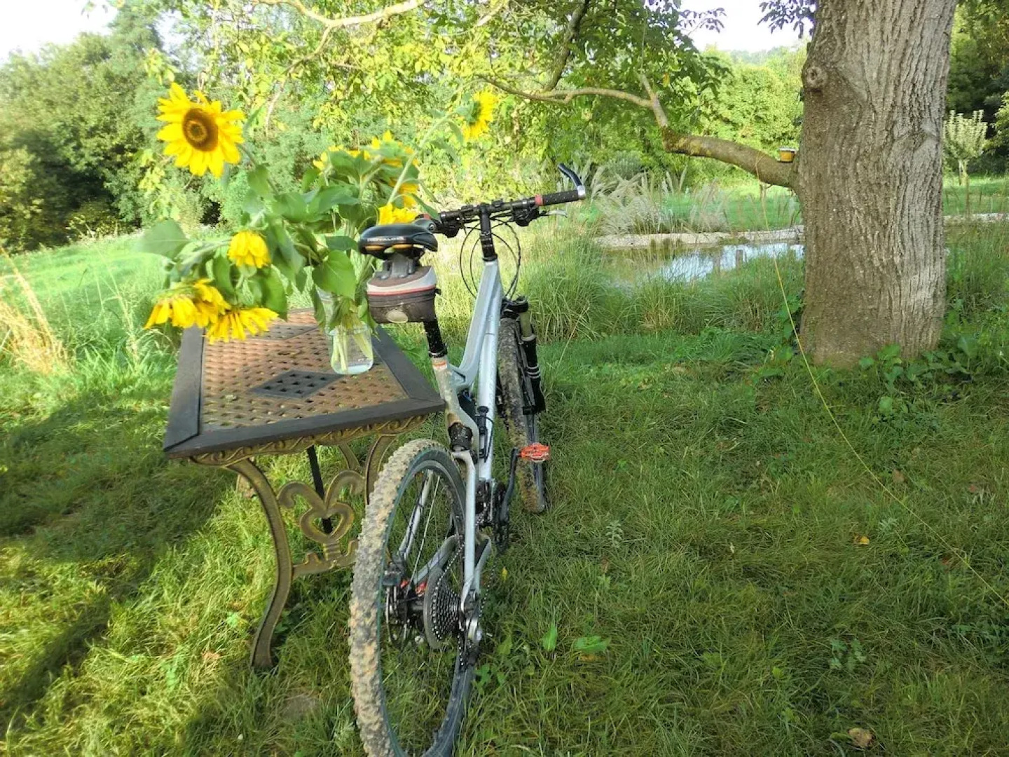 Ô Saveur de l'Instant