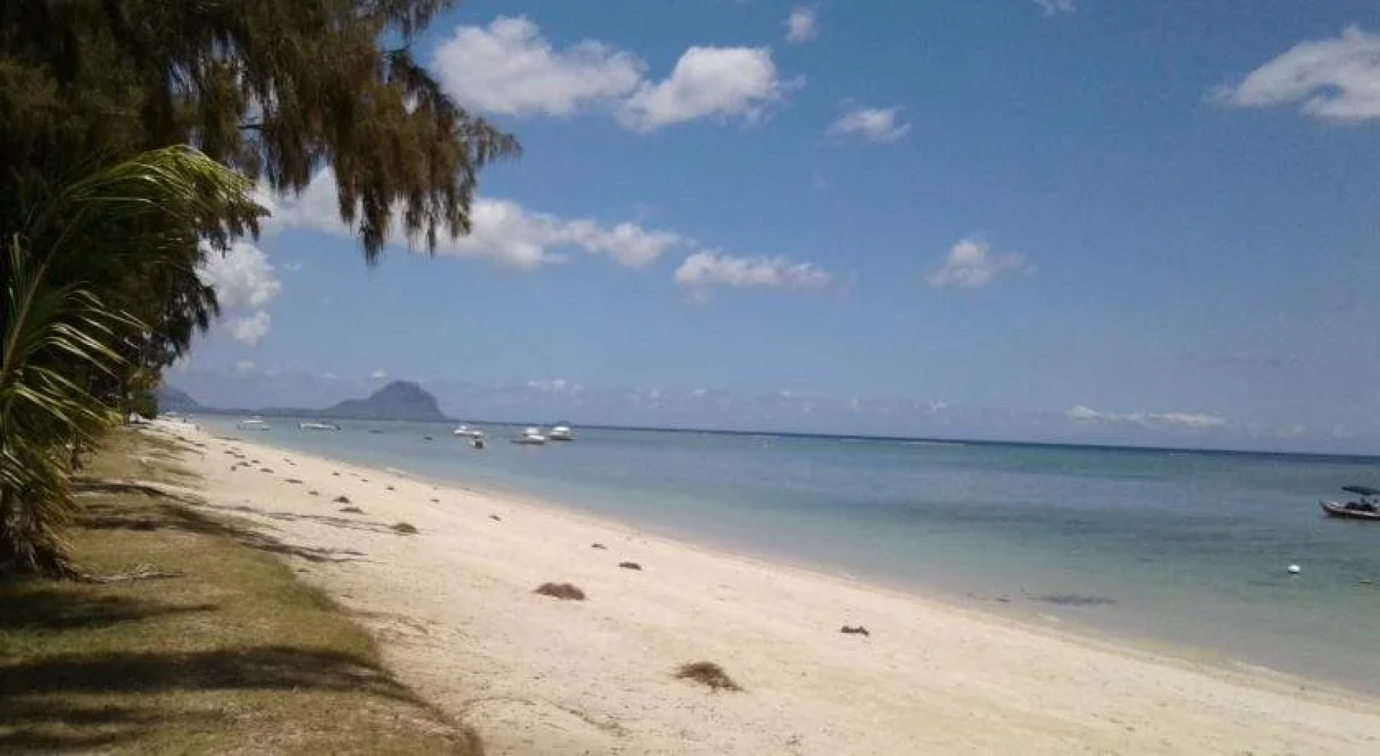 Residence Dream Lodge