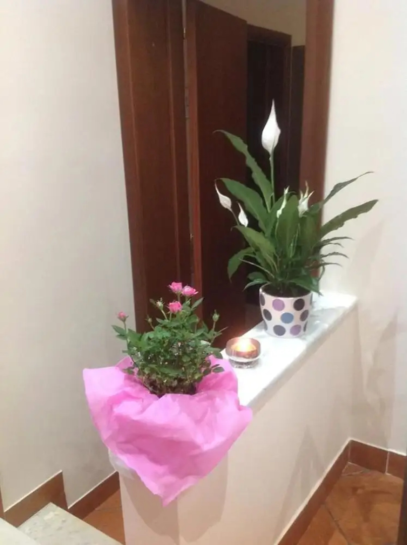 B&B Le Pomelie dell'Etna