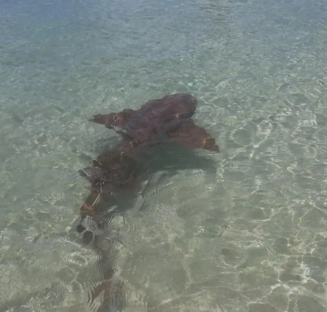 Casa Los Cerros Taganga